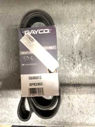Picture of DAYCO SERPENTINE BELT Part # 5080813